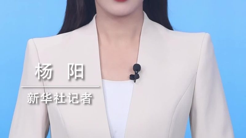 企业数字化人才能力标准：构建未来竞争力的基石
